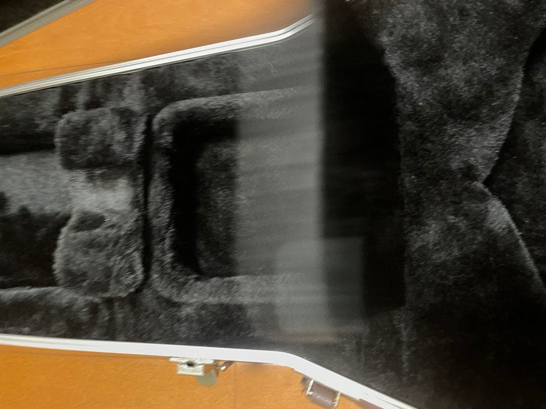 TAKAMINE ギター　ケース