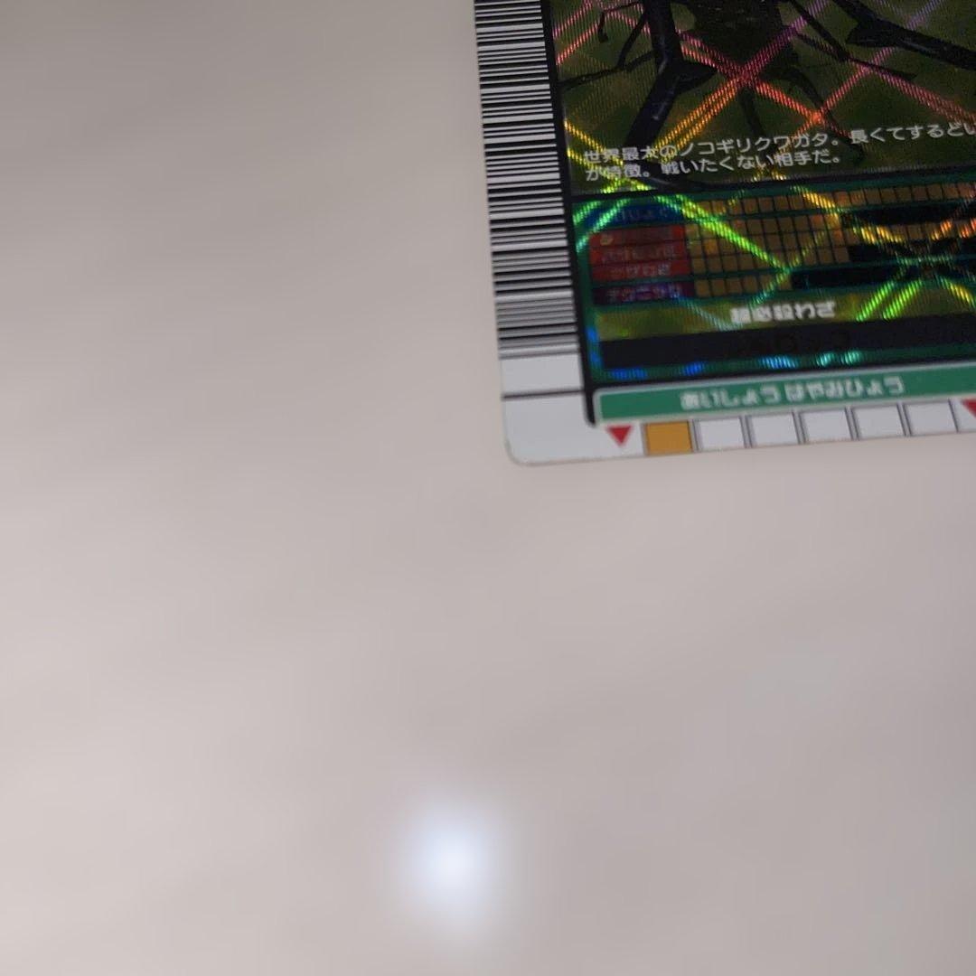 キラファノコギリクワガタ