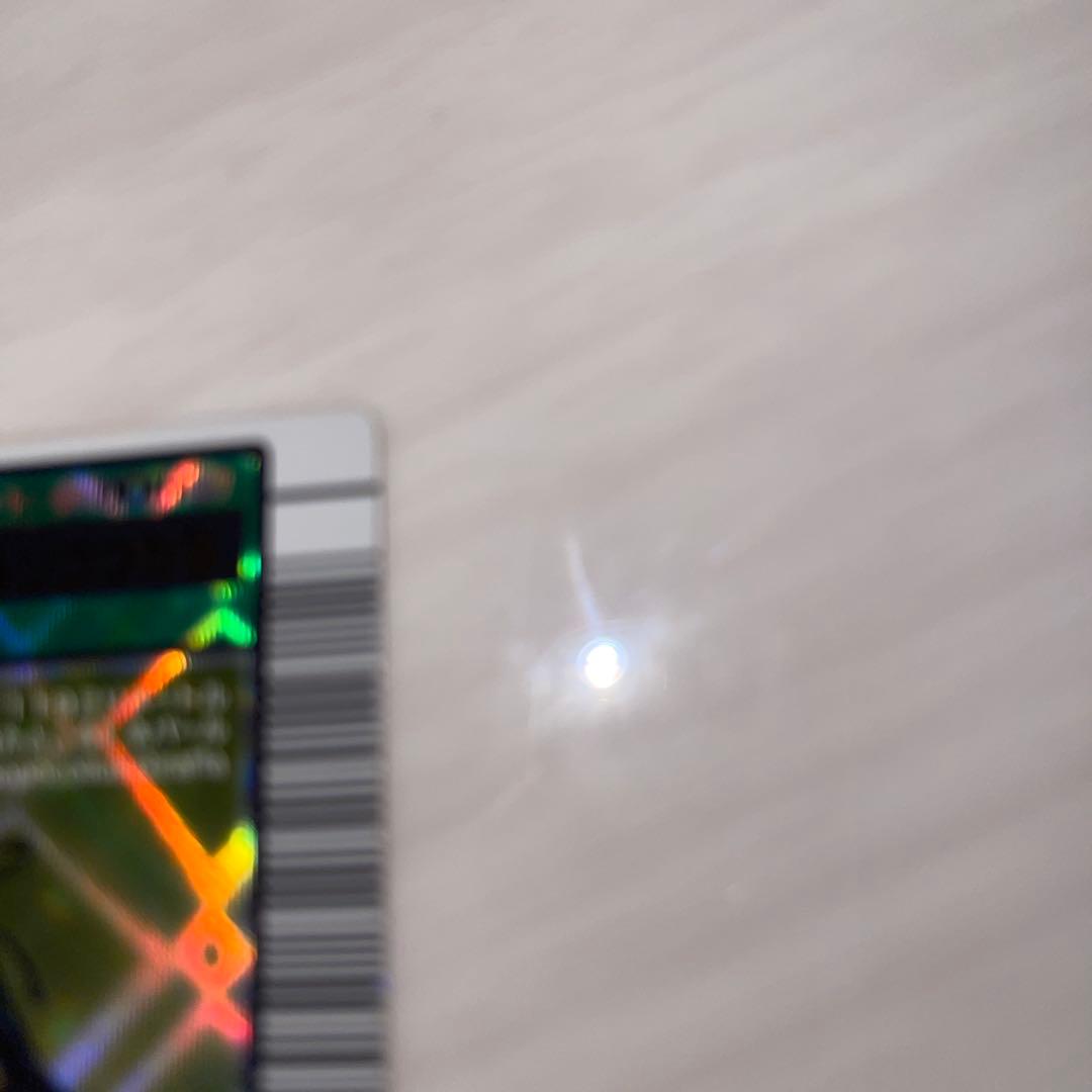 キラファノコギリクワガタ