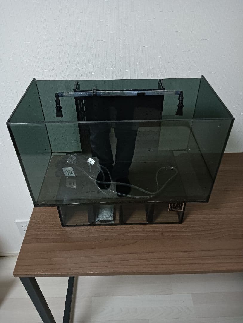 えびちゃ☆お　GEX グラステリア AGS450 水槽 ライト