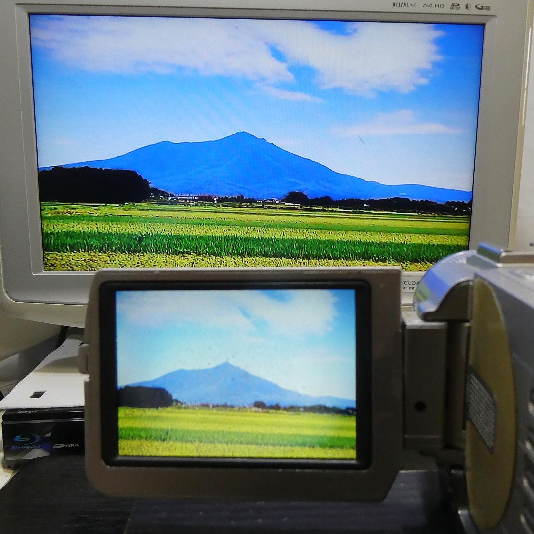 美品・動作品ソニー DCR-TRV20 MiniDV ビデオカメラ DVD化に