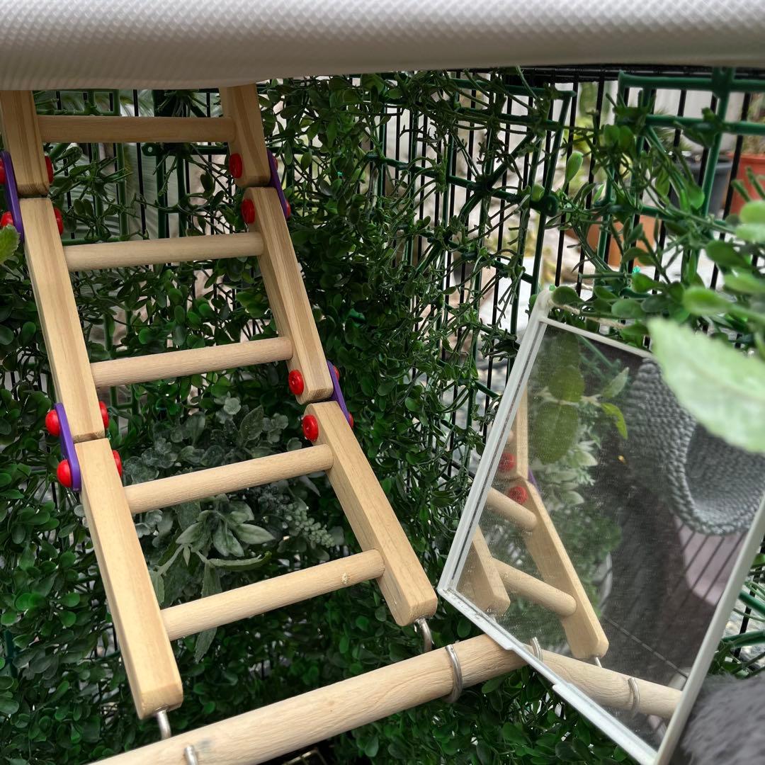 大きめの金属製鳥かご