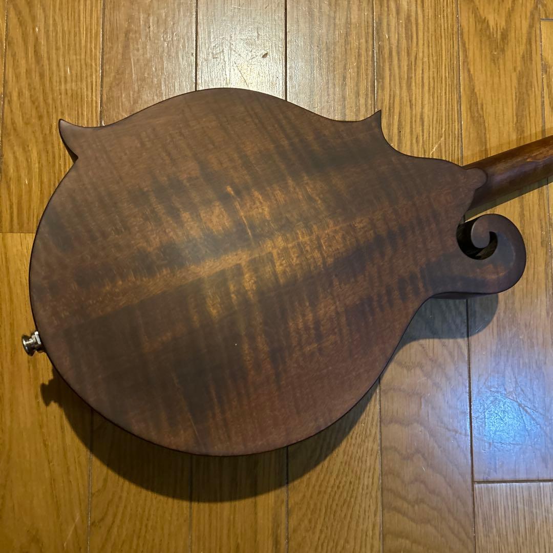 フラットマンドリン　イーストマン　md-315 /CLA ピックアップ付き