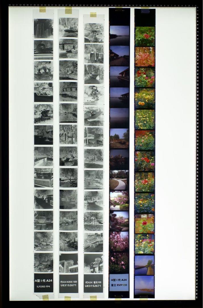 Hasselblad a12 改造済み品 13枚撮り①