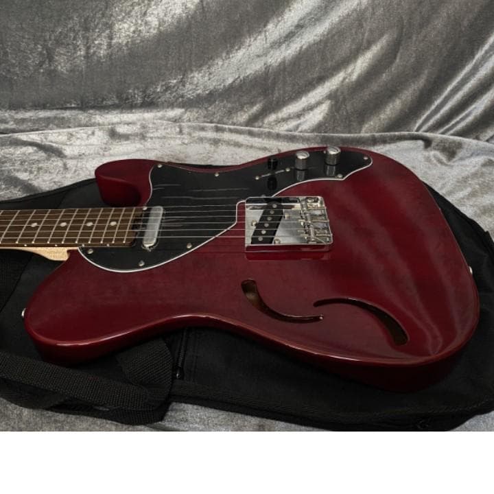 美品 限定生産モデル 美品 Schecter OL-PT-TH セミホロウ