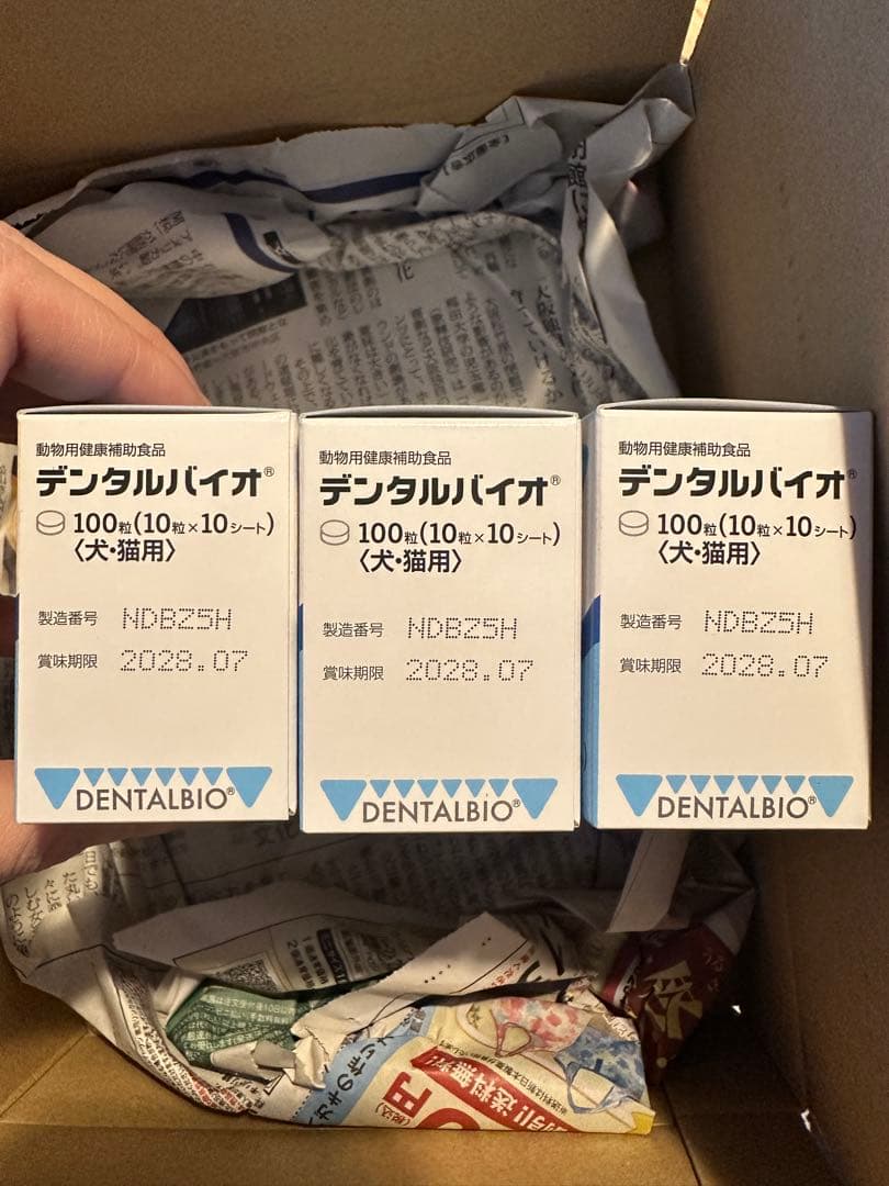 DENTALBIO デンタルバイオ 100枚入り×5箱