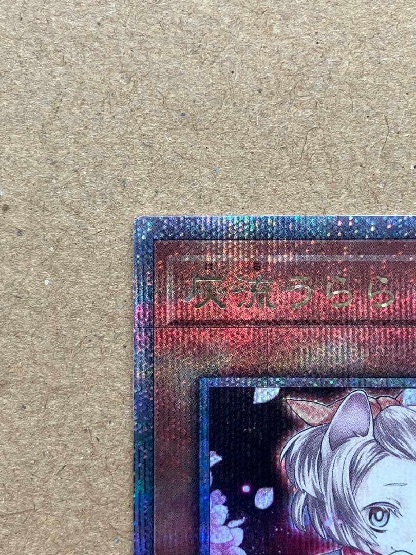 遊戯王　灰流うらら　25th QCAC