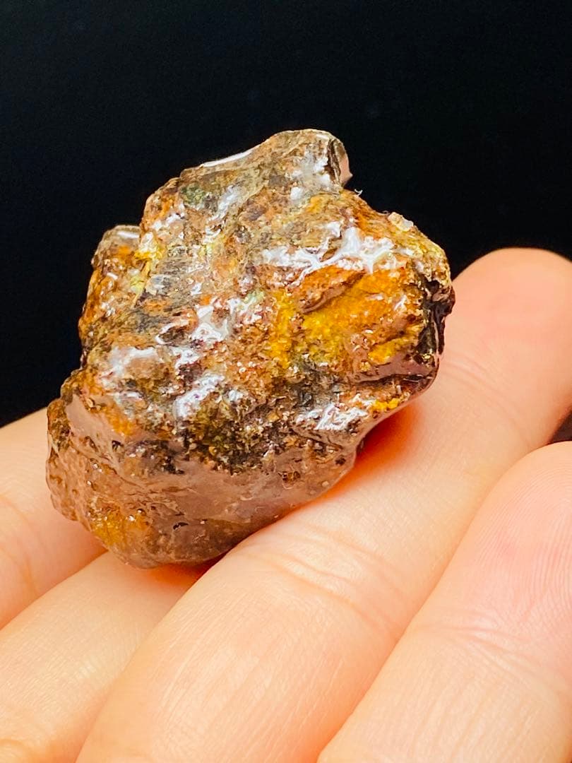 メル24344パラサイト隕石　石鉄隕石　セリコ隕石　原石　コーティング済み