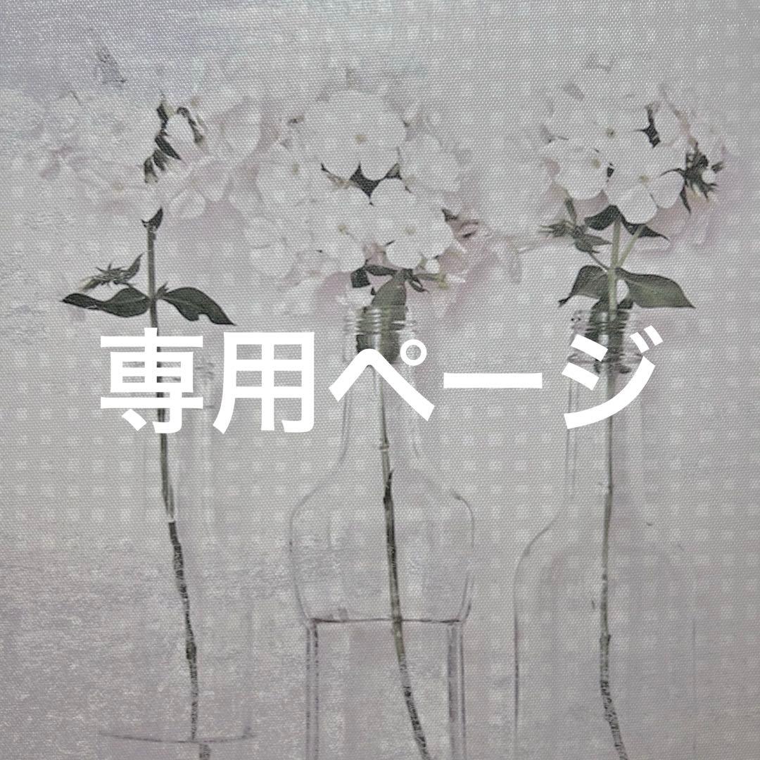 笹巻山ページ（計 49枚）匿名配送