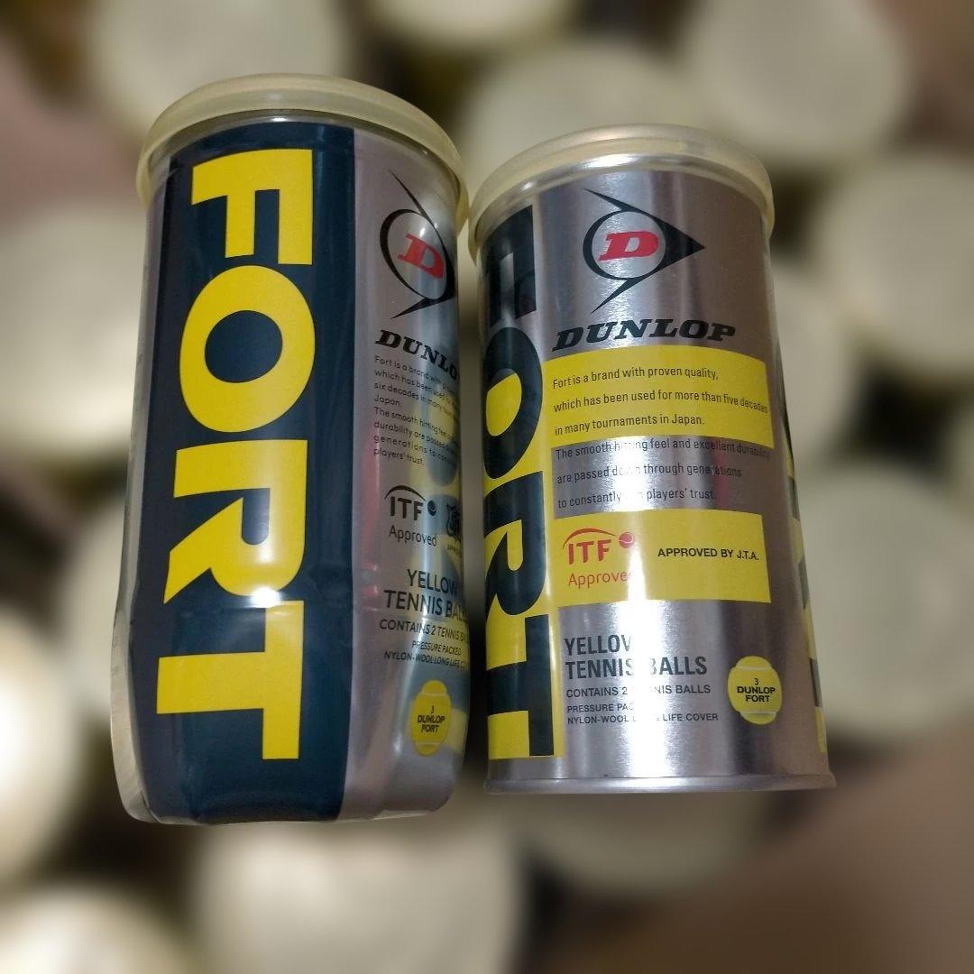未開封新品 DUNLOP FORT テニスボール 22缶セット