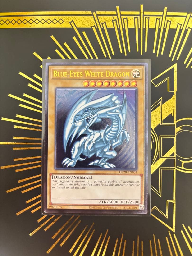 遊戯王　青眼の白龍　レリーフ　英語版　微青