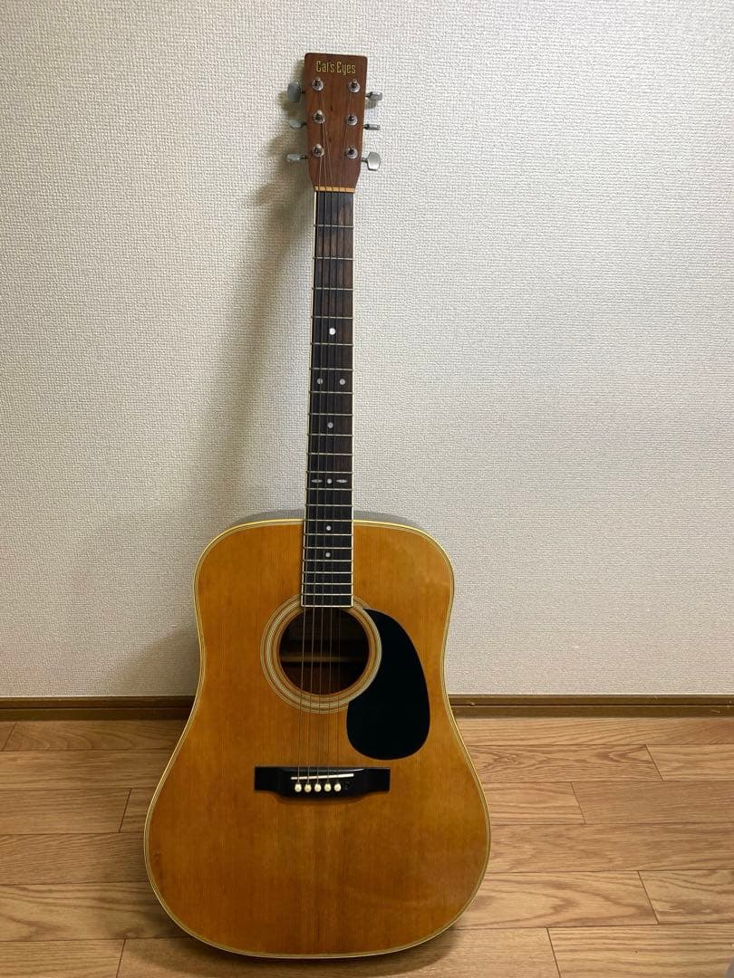 アコースティックギター CE-200