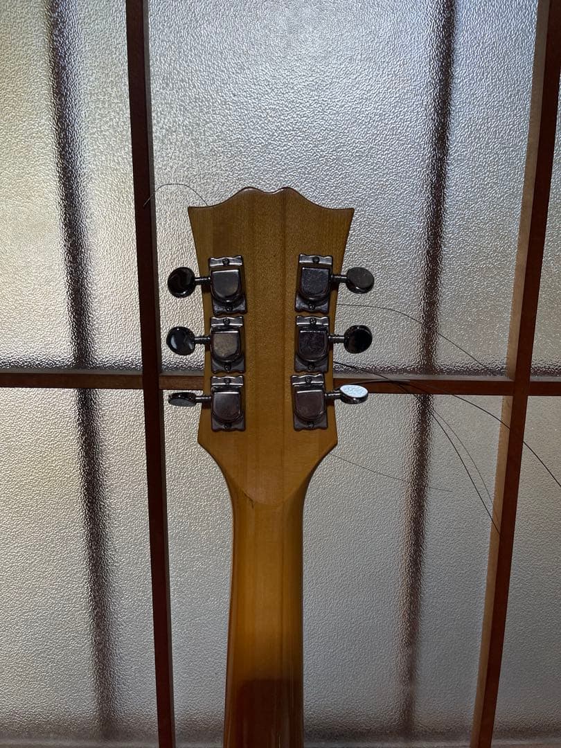 ギター Electric Guitar Collection FIRSTMAN