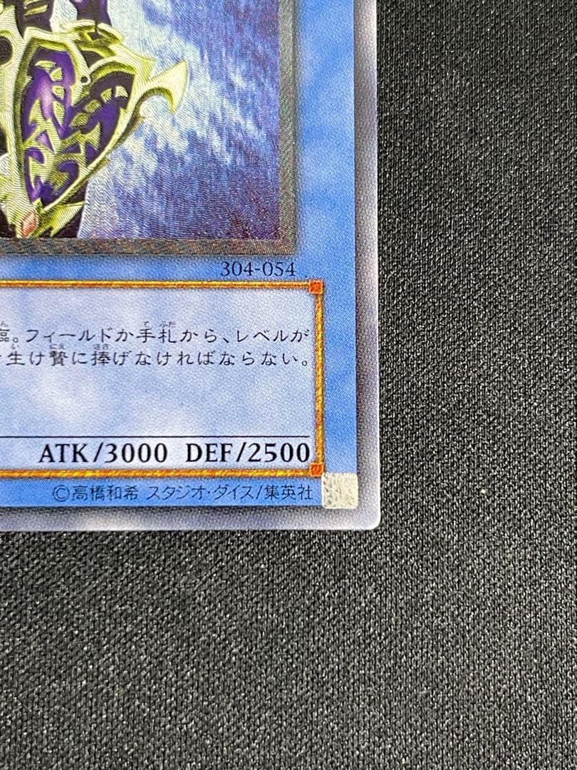 ヘ*タ様 【遊戯王】カオス・ソルジャー　レリーフ　304-054【10/10】