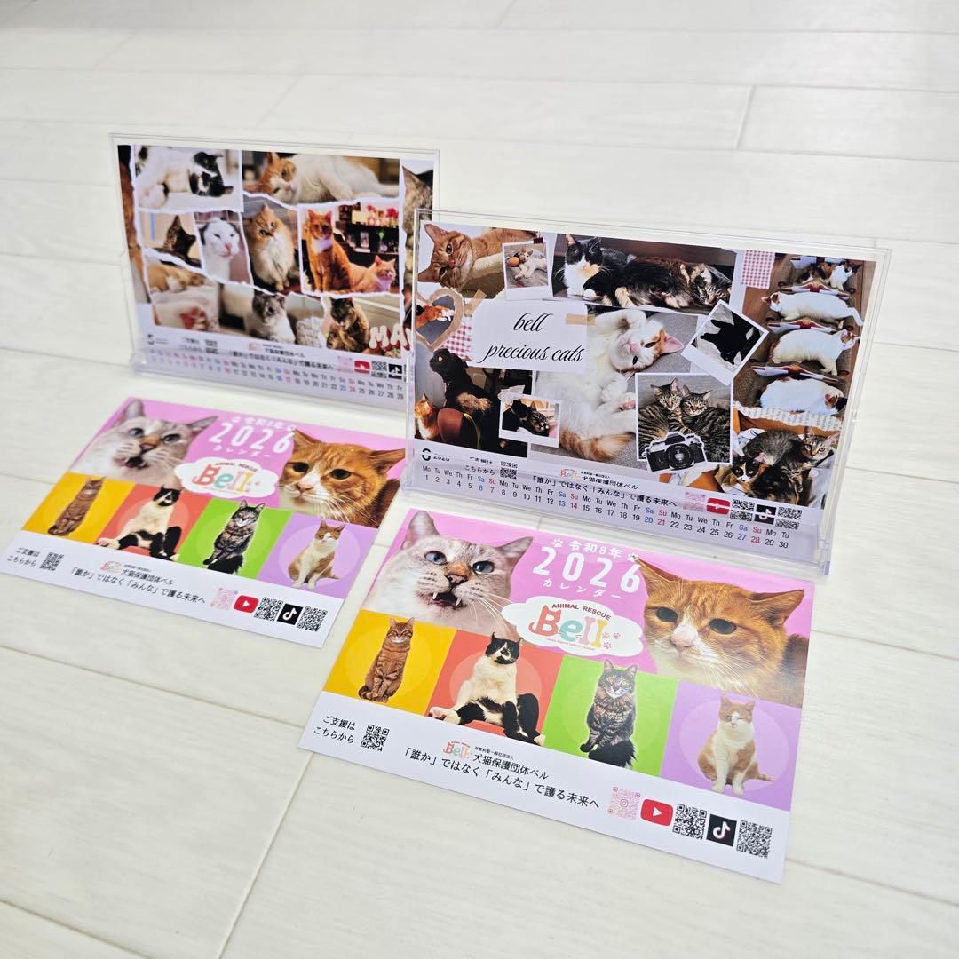 ①《猫》 卓上チャリティーカレンダー10枚セット