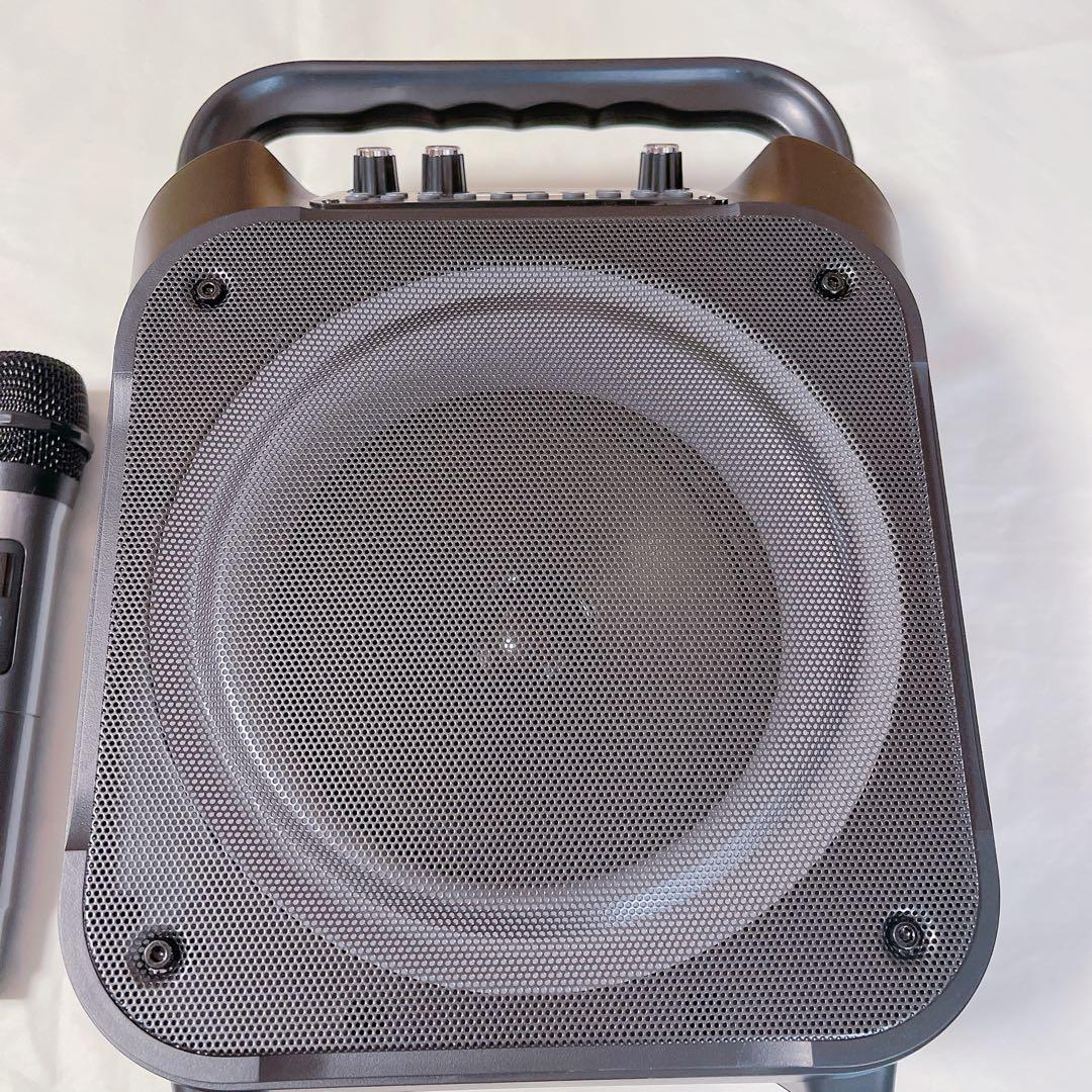 特価❗️カラオケセット 拡声器 スピーカーセット 家庭用 ワイヤレスマイク ２本付