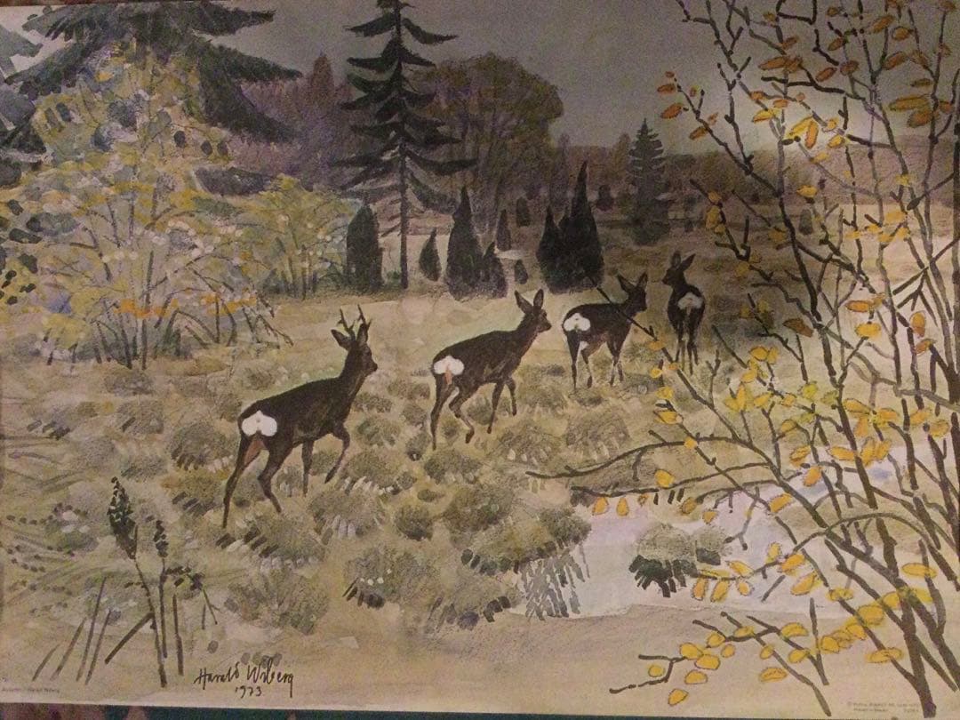 Harald Wiberg,1973 のポスター