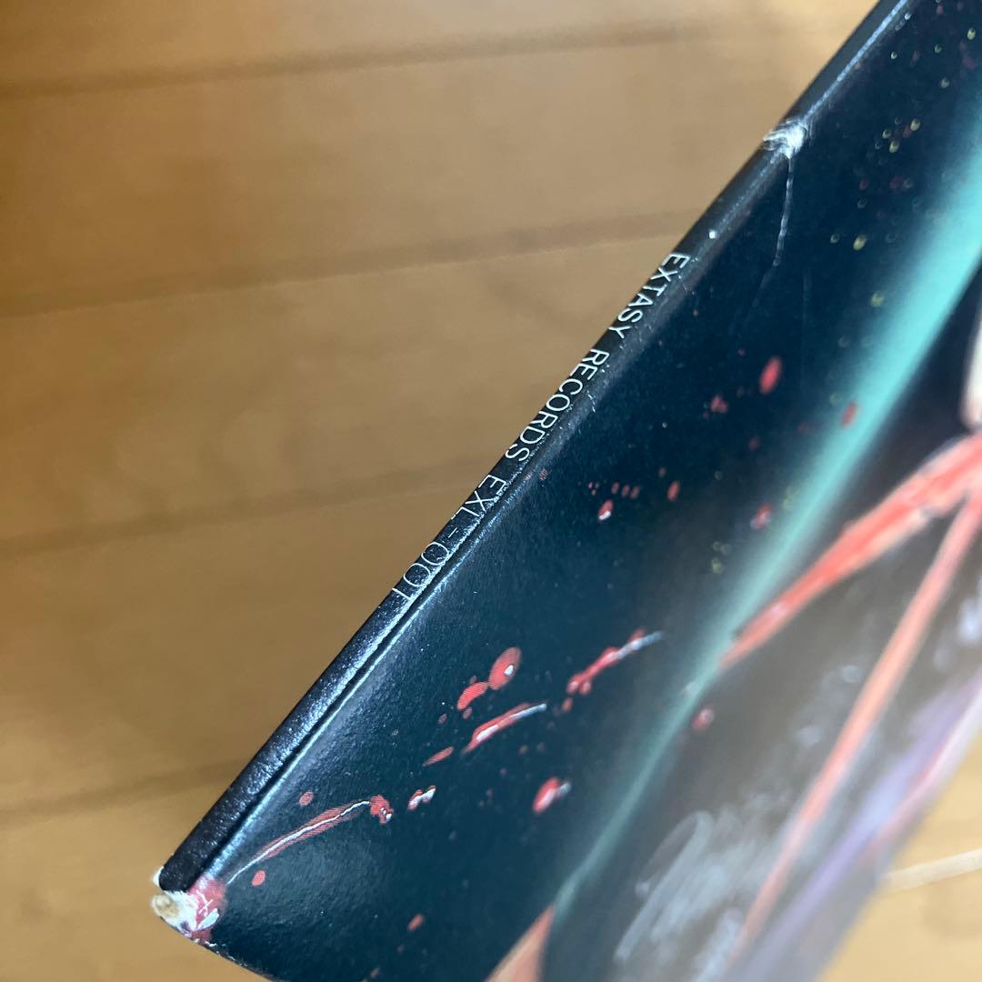 X Japan Vanishing Vision レコード