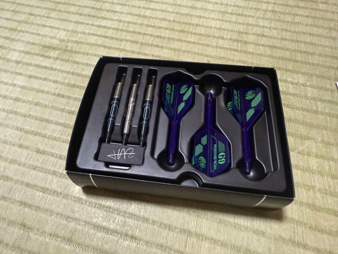 値下げ◾️ライジングサン G9 No.5 22g エスダーツ限定◾️