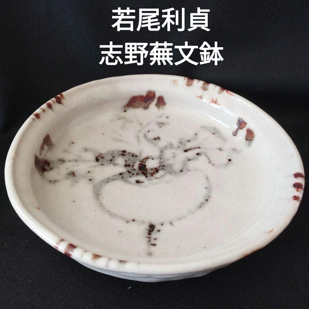 若尾利貞　志野蕪文鉢