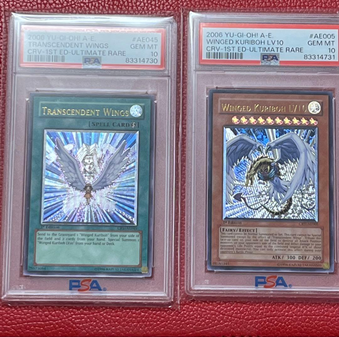 遊戯王　旧アジア版　ハネクリボーLV10 進化する翼　レリーフ　連番