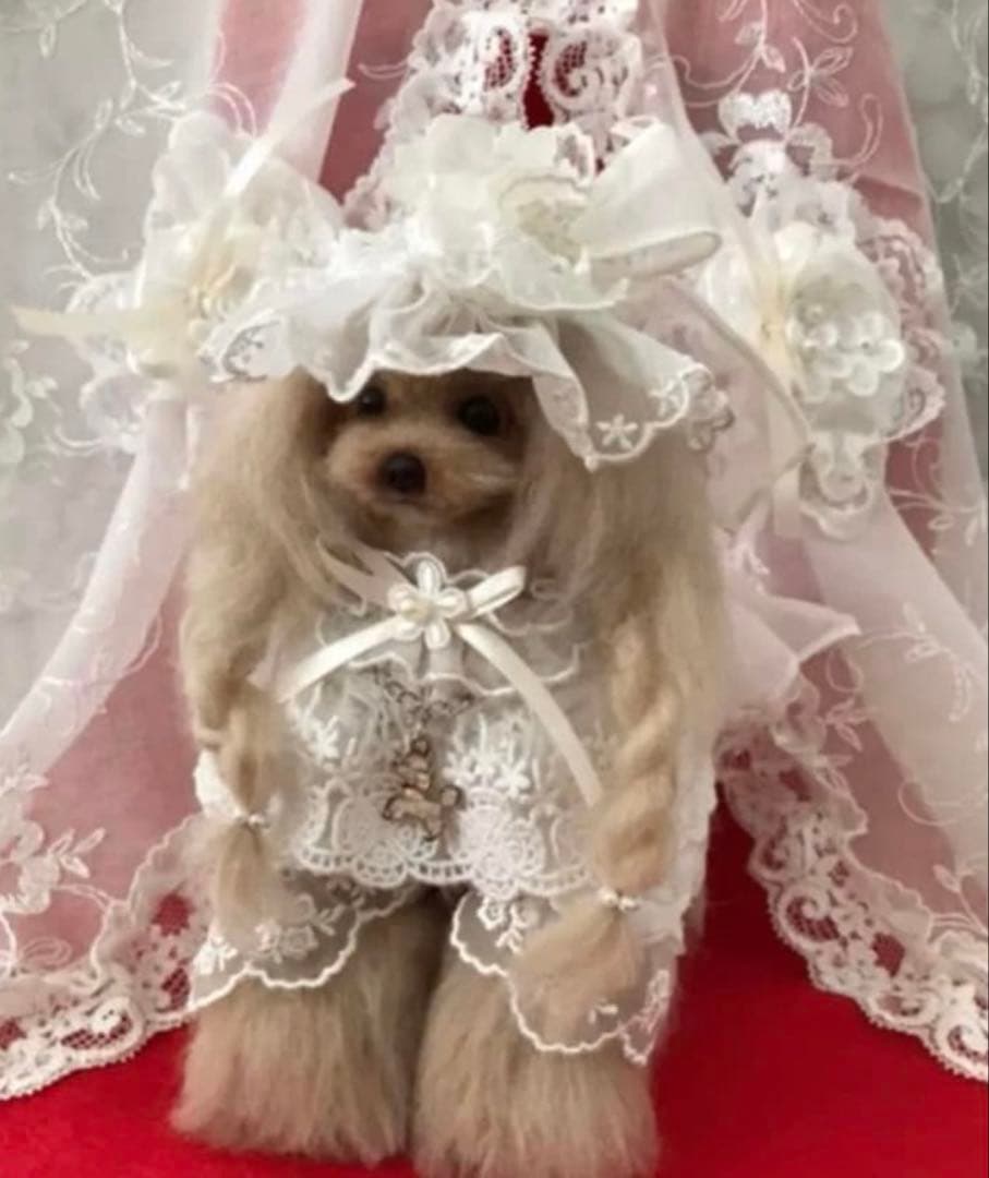 R*o様 トイプードル アートドール