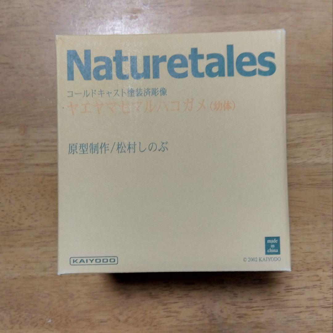 Naturetales セマルハコガメ　幼体フィギュア