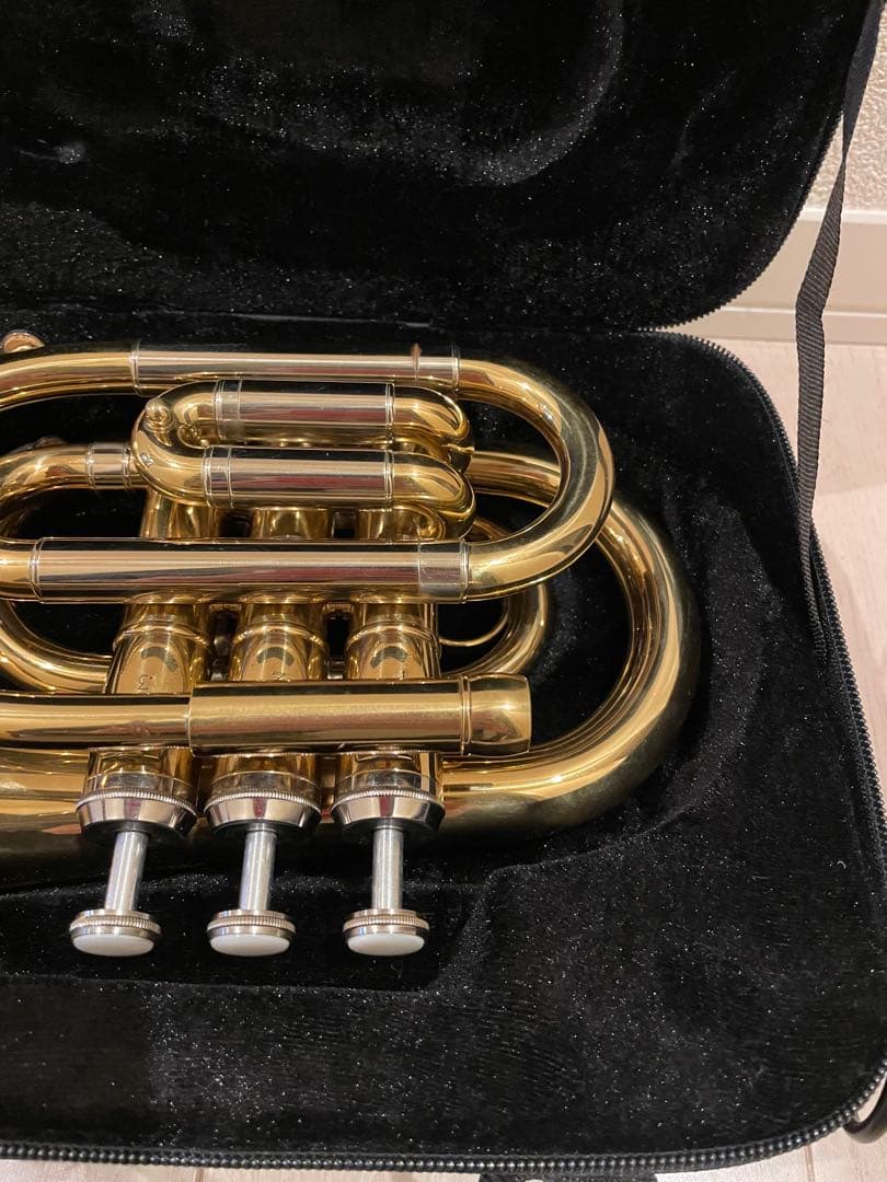 ❗️タイムSALE❗️ポケットトランペット マウスピース付き