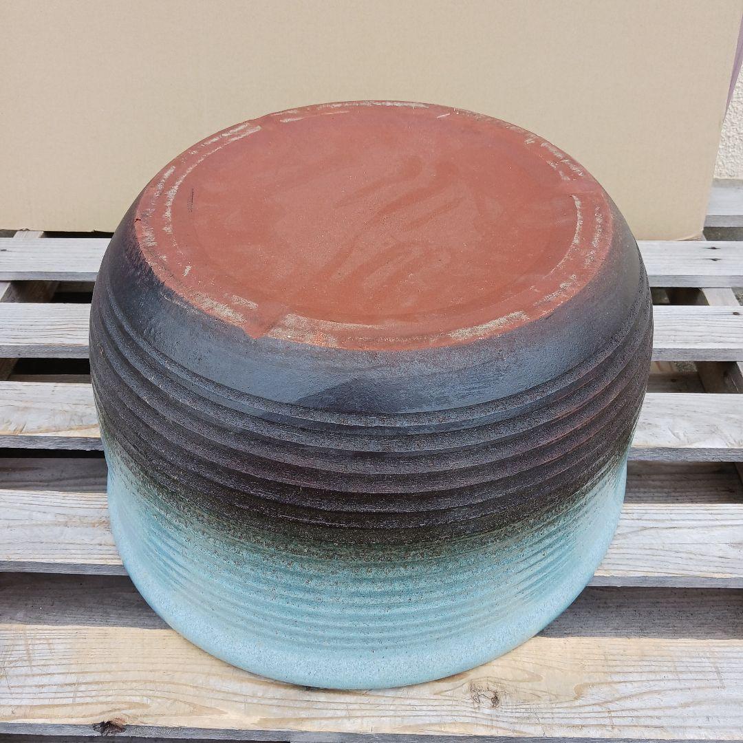 新品　特大52x48　陶器　睡蓮鉢　難有　メダカ鉢　水色　ブルー　ルーバーLWC