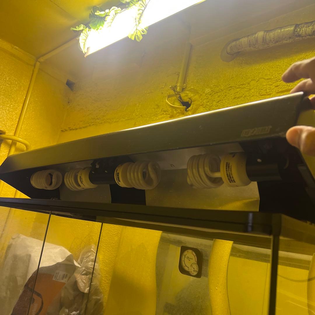 引き取り限定❗️エキゾテラ　グラステラリウム 爬虫類ケージ　まとめ売り