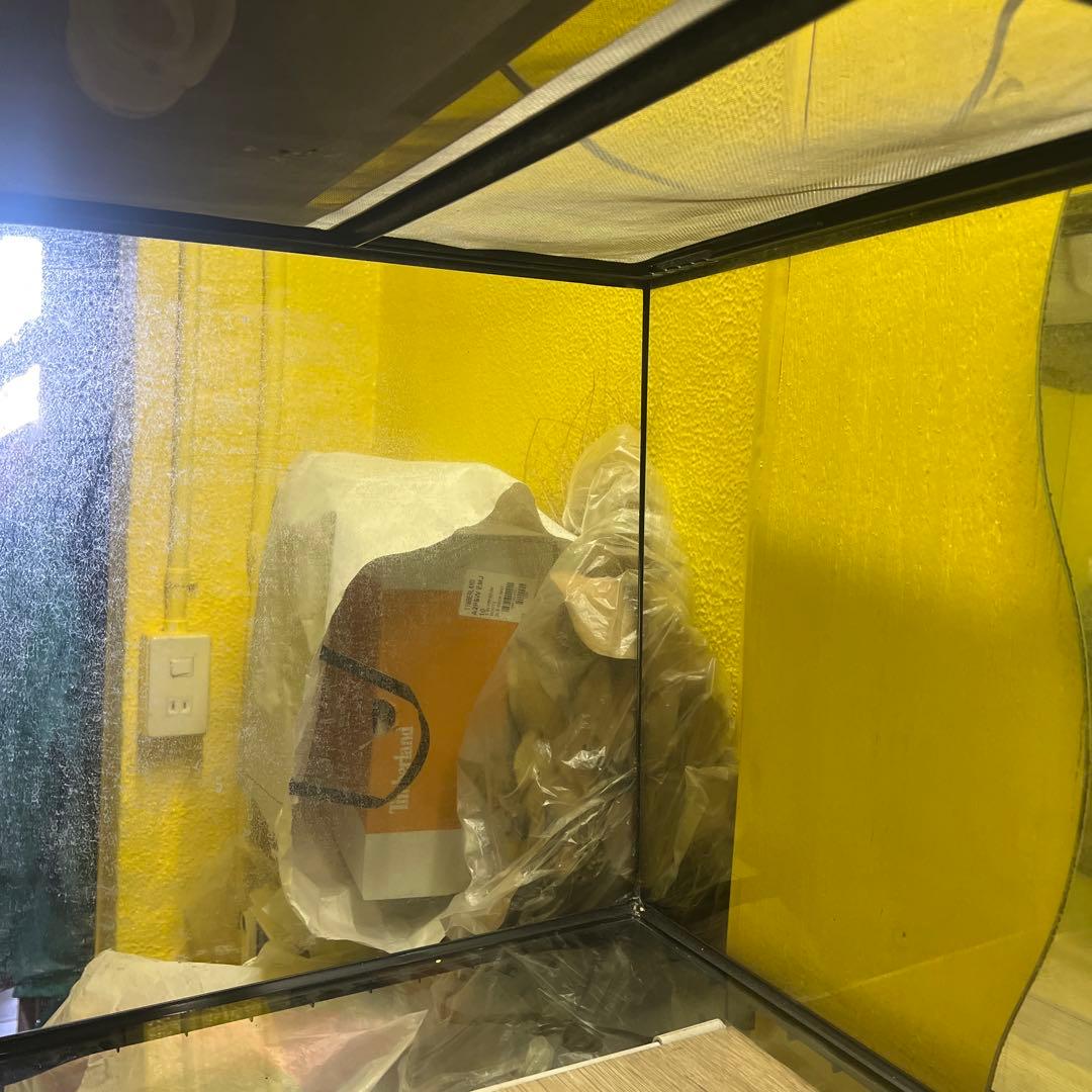 引き取り限定❗️エキゾテラ　グラステラリウム 爬虫類ケージ　まとめ売り