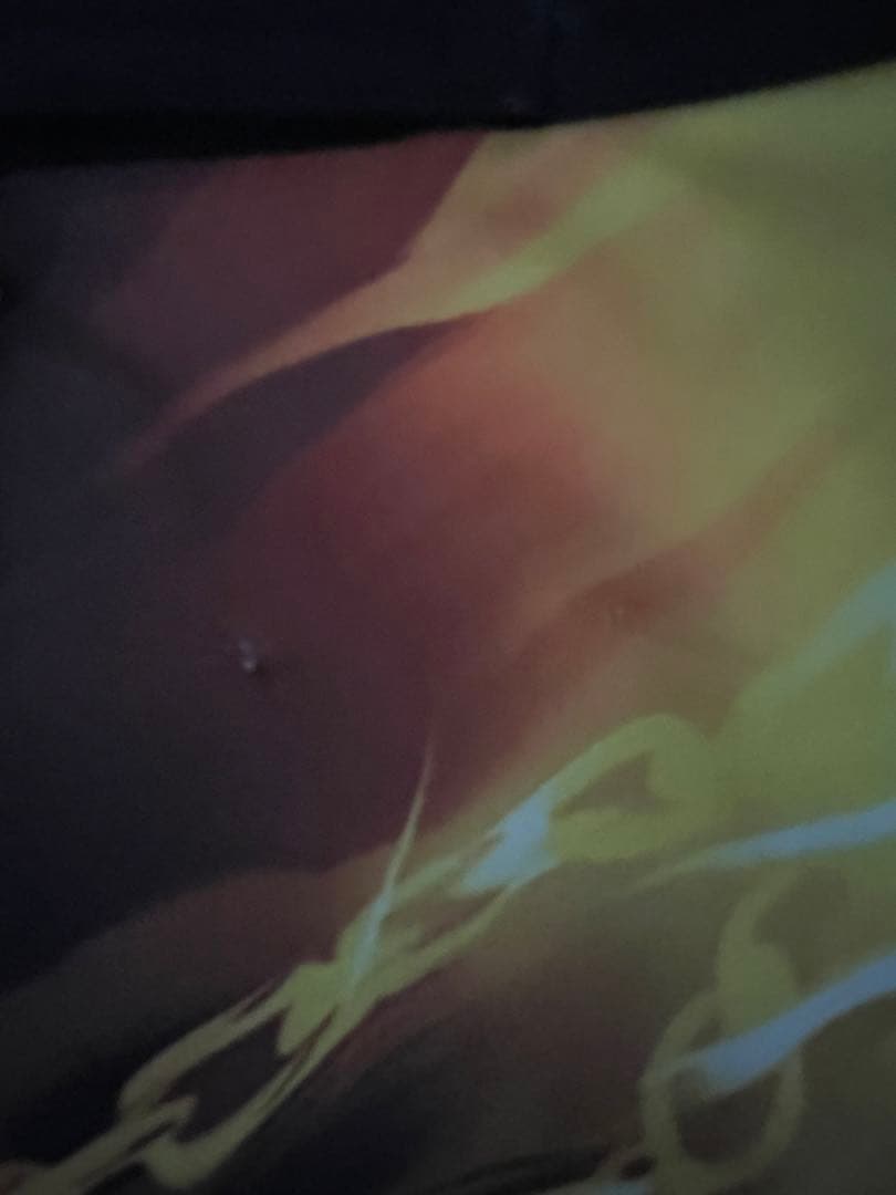 ファイド　サーフパンツ