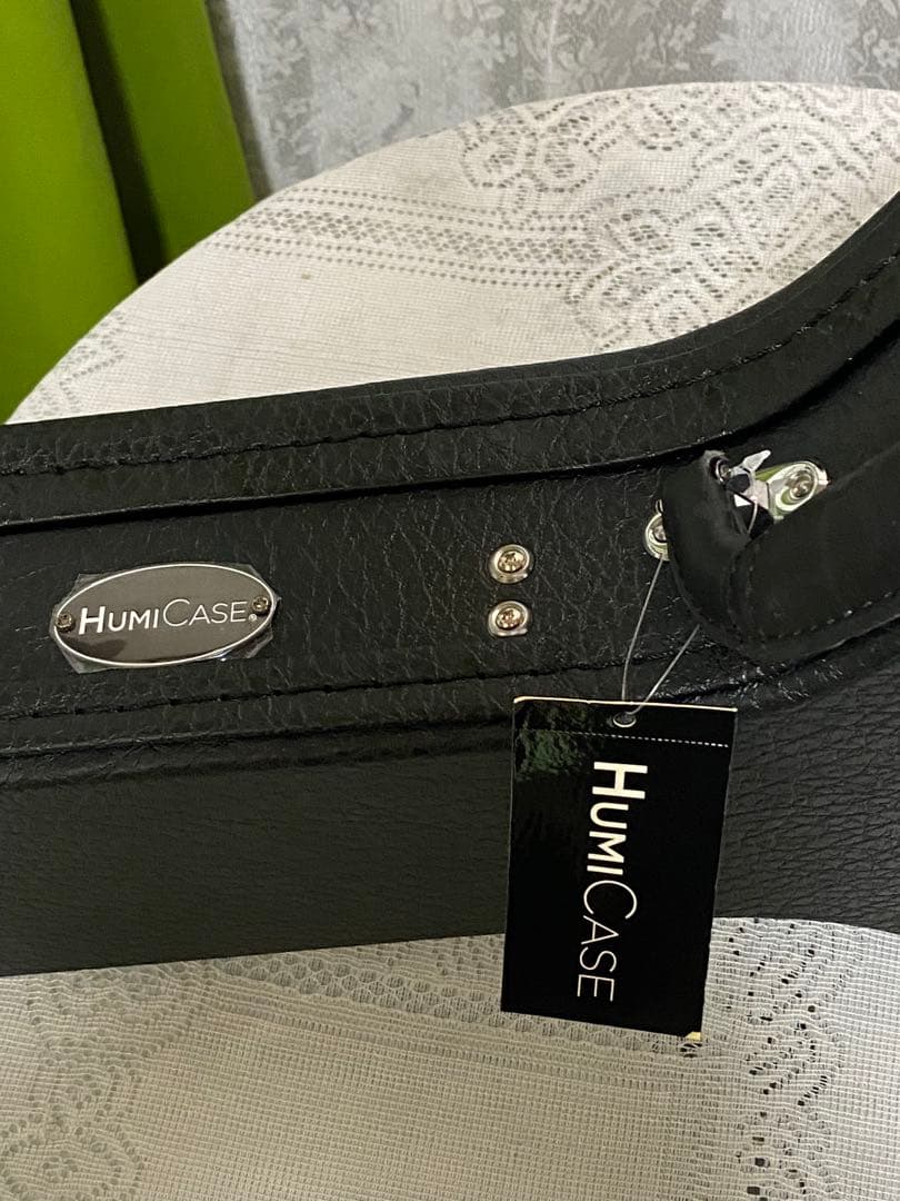 新品ハードケース付き 気分よくロックしようぜ！byESP LunaSeaモデル