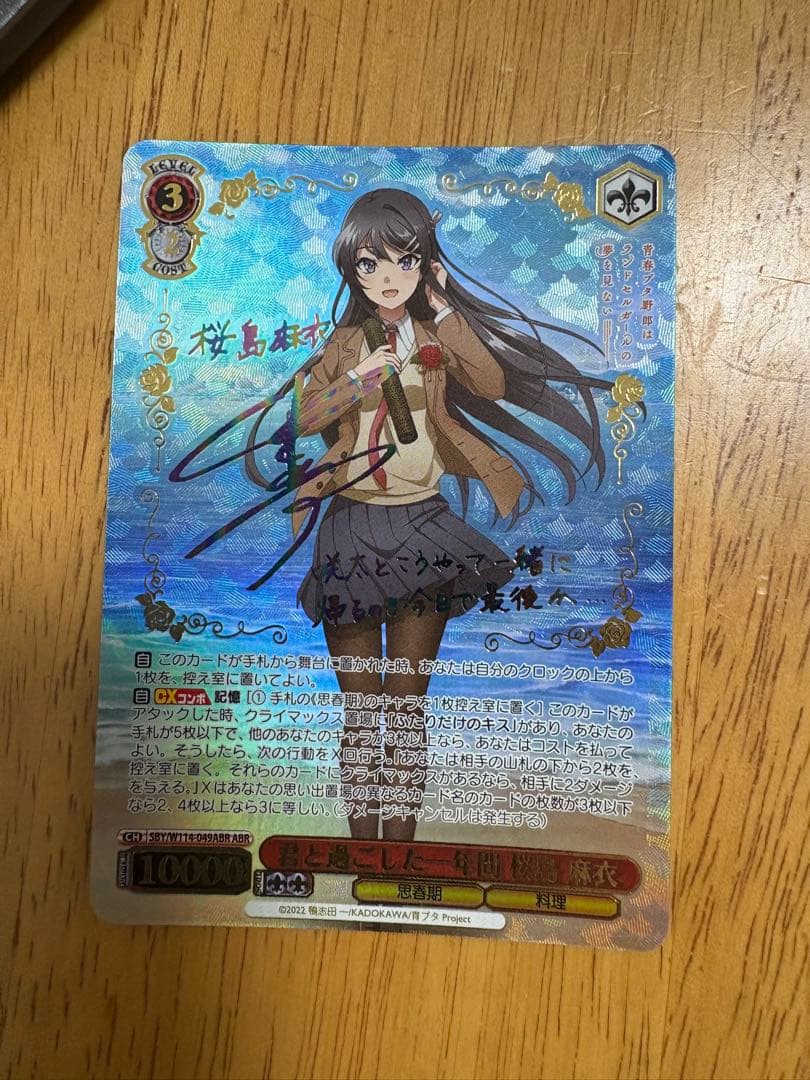 君と過ごした一年間 桜島麻衣ABR