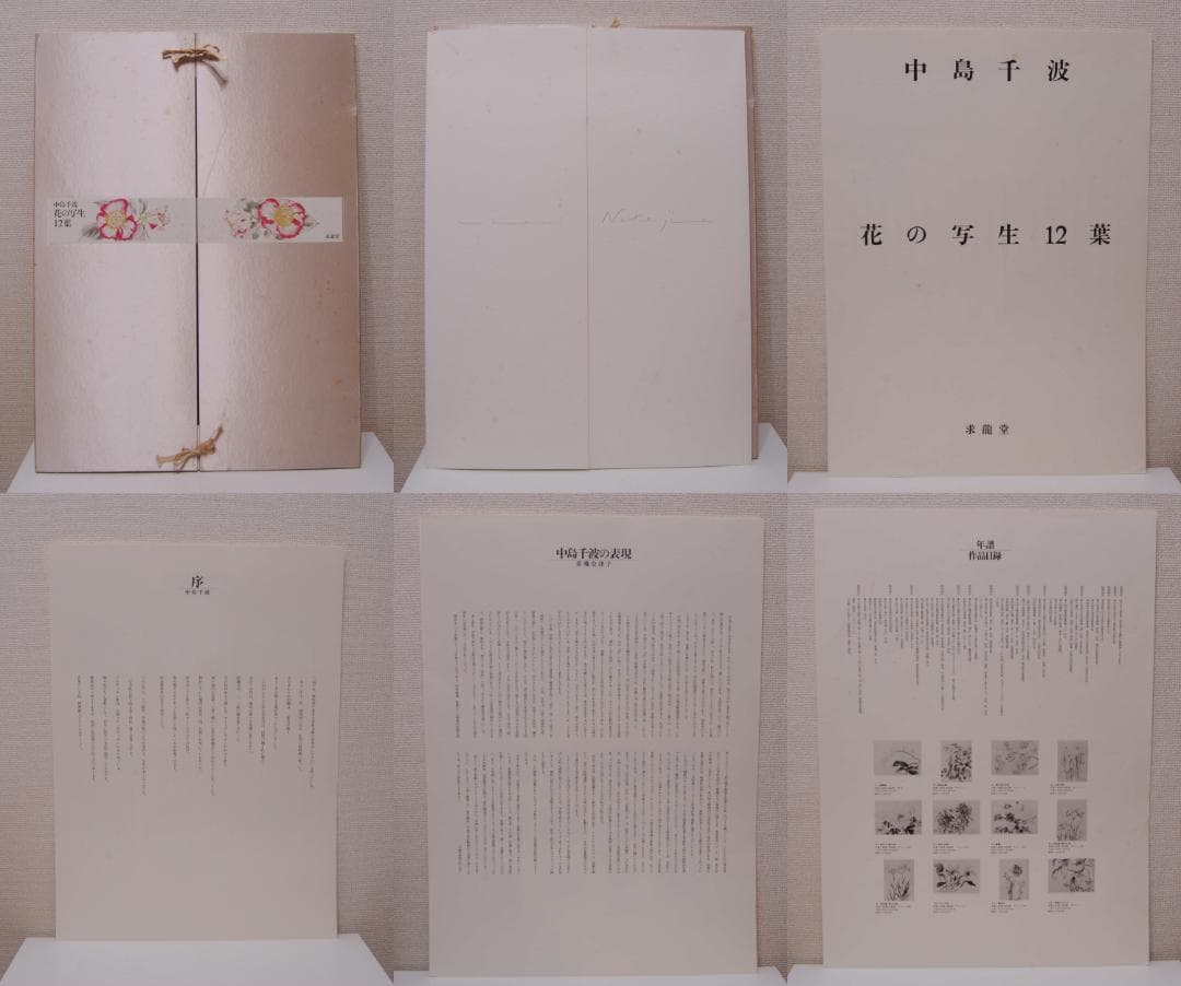 中島千波　花の写生１２葉　絵画　 12枚セット　求龍堂