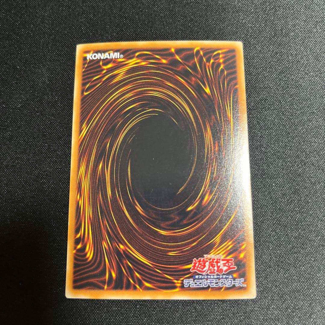 ブラックローズドラゴン ホロ 遊戯王