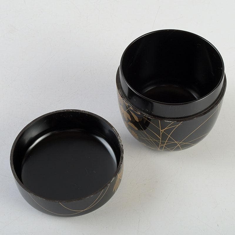 茶道具　長谷川恵史作　螺鈿装飾　鈴虫蒔絵　棗　共箱　V　9349