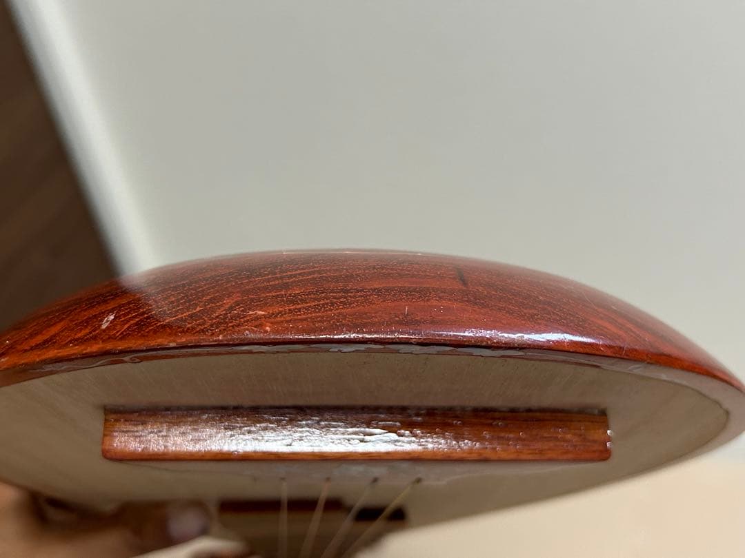 s*m様 ダンティバ　ベトナム楽器　琵琶