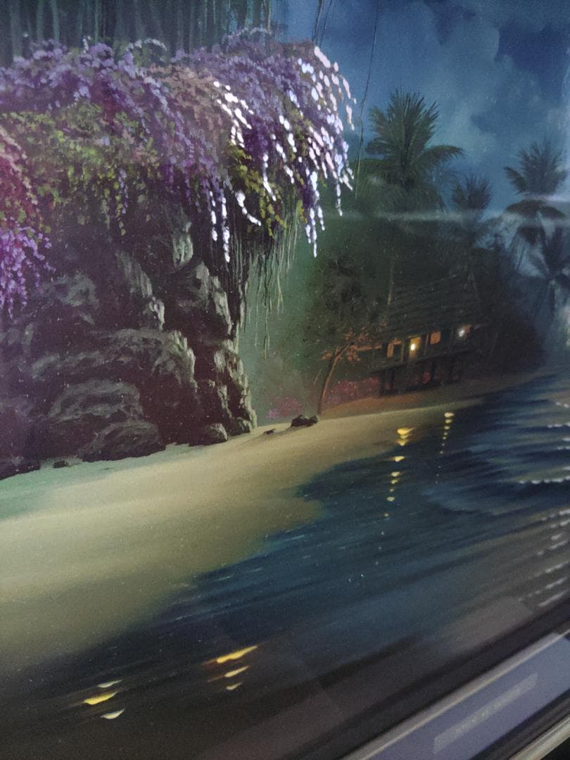 ジョン・アルホーグ / 『バニヤン・ムーン』 ダイヤモンド・手彩入り