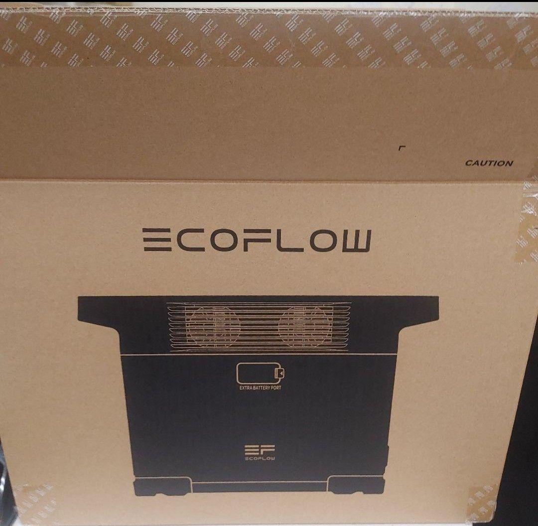 大*樹様 正規整備済品　EcoFlow DELTA 2 ポータブル電源