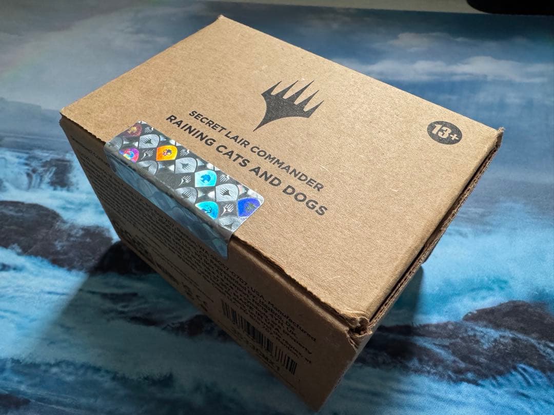 MTG Raining Cats and Dogs 未開封　1箱　SLC