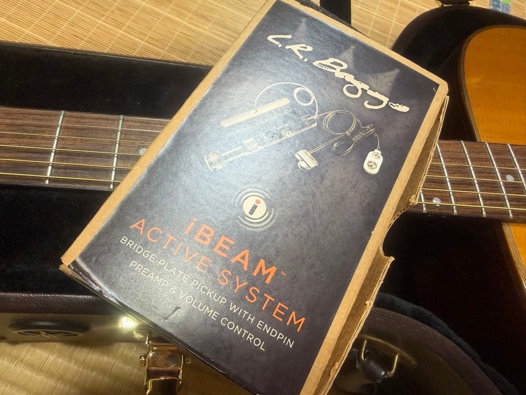 【美品/L.R.PU付】YAMAHA The FG 2018年製 ハードケース付