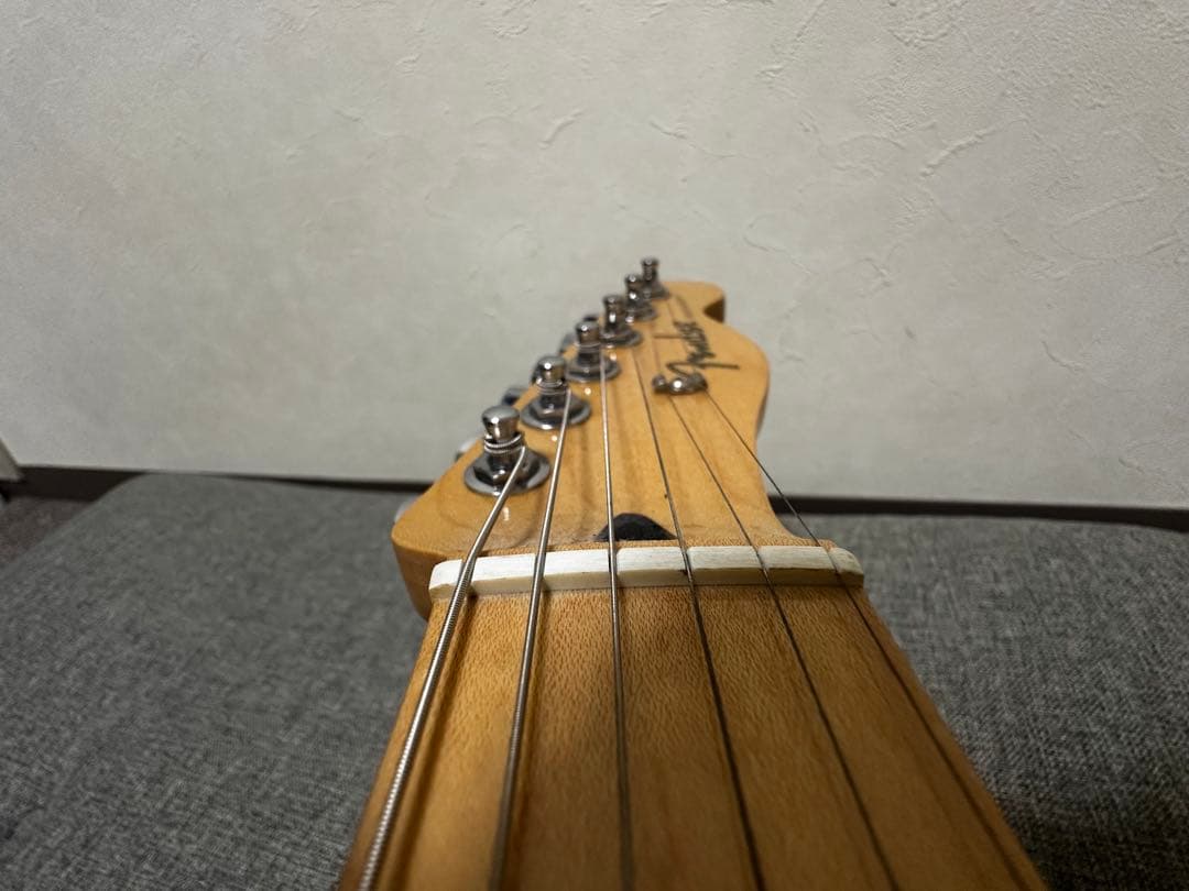 追記FENDER PLAYER TELECASTER(フェンダーソフトケース付)