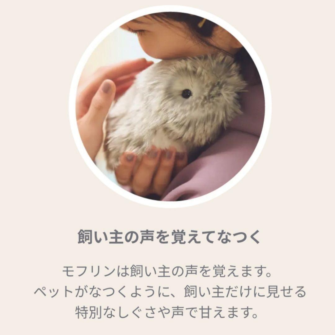 ◆限定お値下げ◆24時間内発送【未開封新品】AIペット モフリン-Moflin-