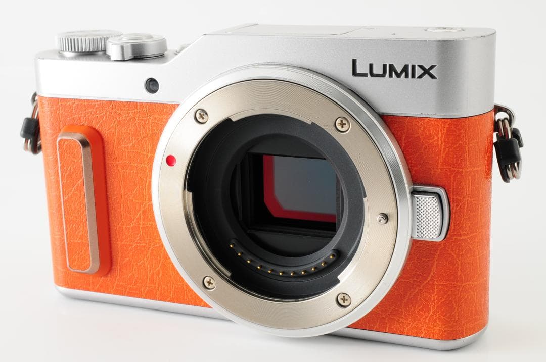 パナソニック Panasonic LUMIX DC-GF10 レンズキット