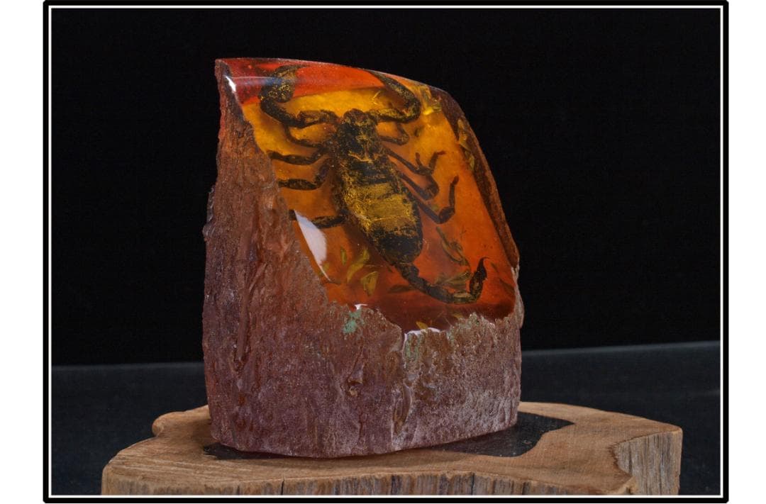 旧家初心だし　中国時代の化石　天然琥珀サソリ※骨董品 DE1663D4-2