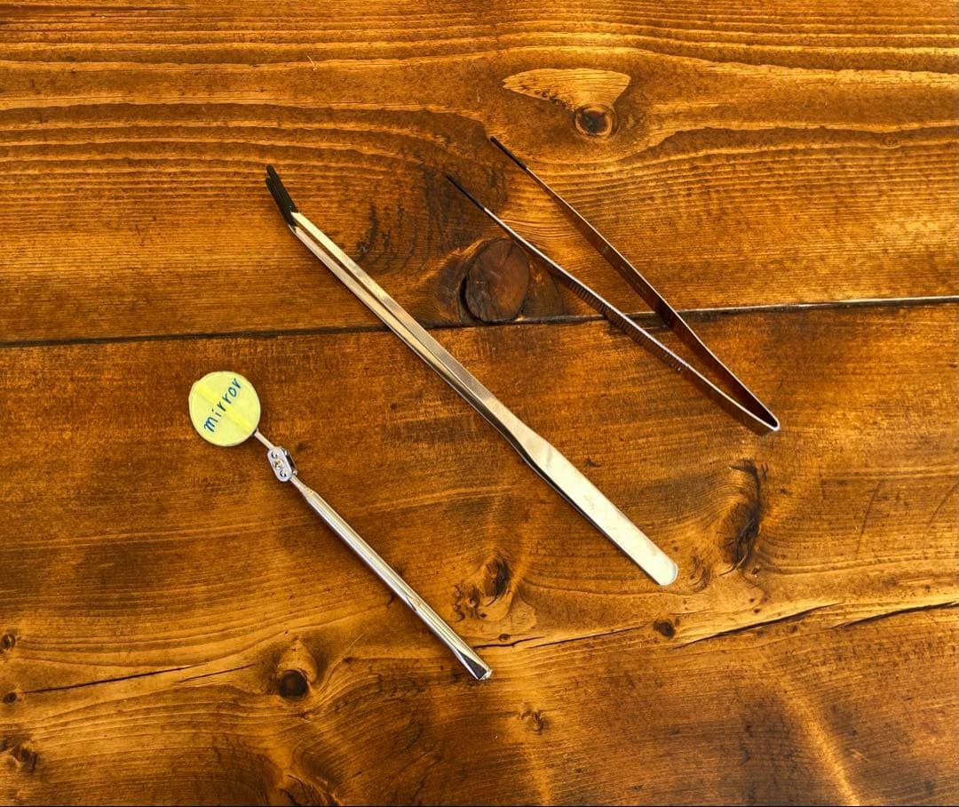 クワガタ採集セット　迷彩柄　オリジナル掻き出し棒　デジタルノギス　採集ケース