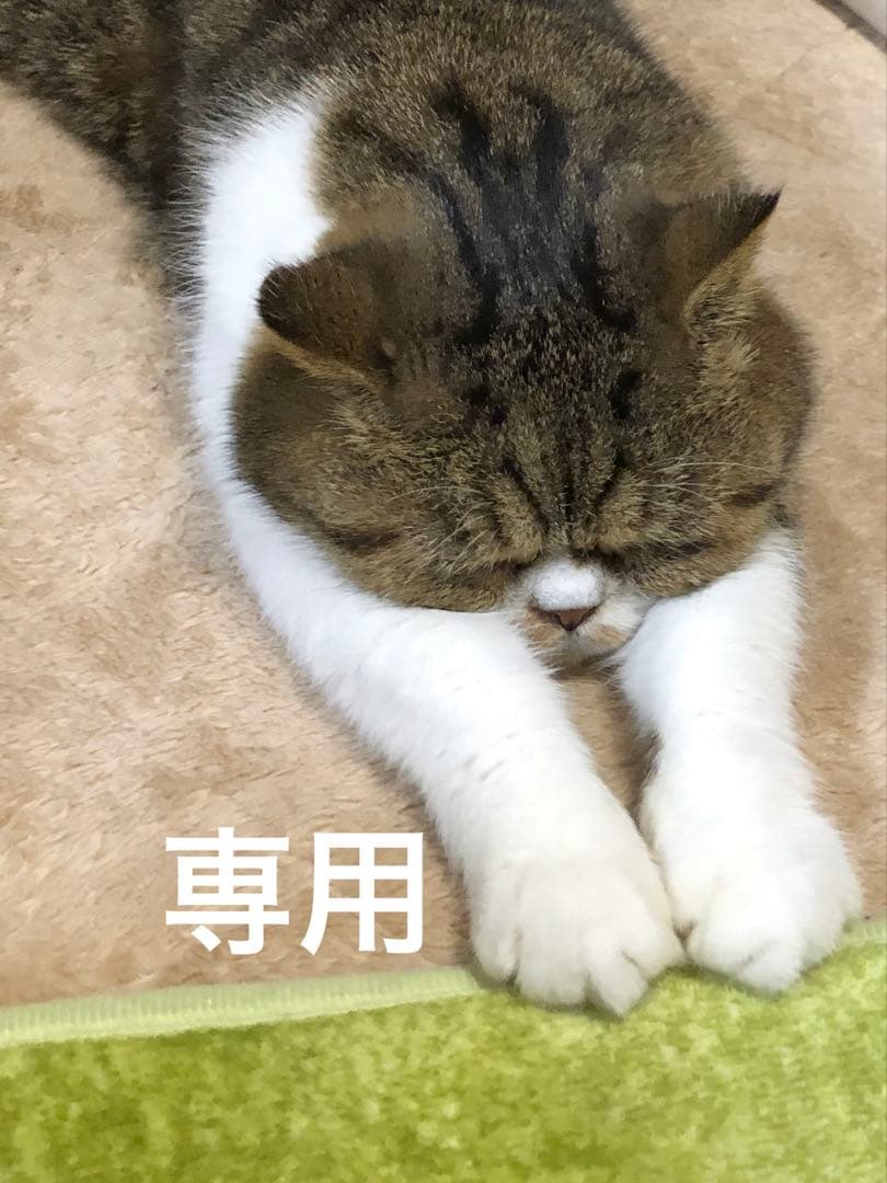 専用:着物５　嵐山よしむら　市松柄袷着物　こげ茶　正絹　身丈１６８裄丈６８