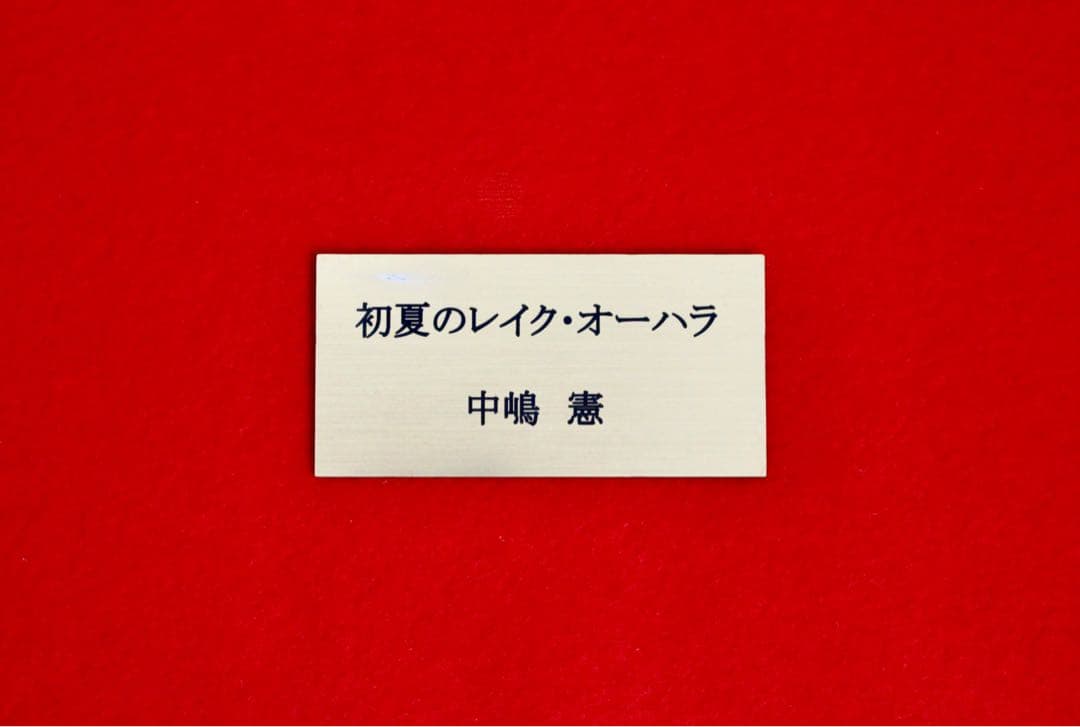 こころの風景コレクション【中嶋憲　初夏のレイク・オーハラ】60％お値引き！！