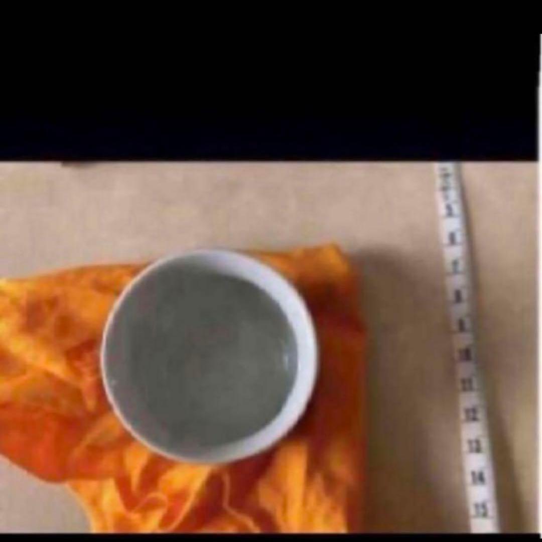 ◎高橋誠　色絵蓮池翡翠図　ぐい呑　東京藝術大学